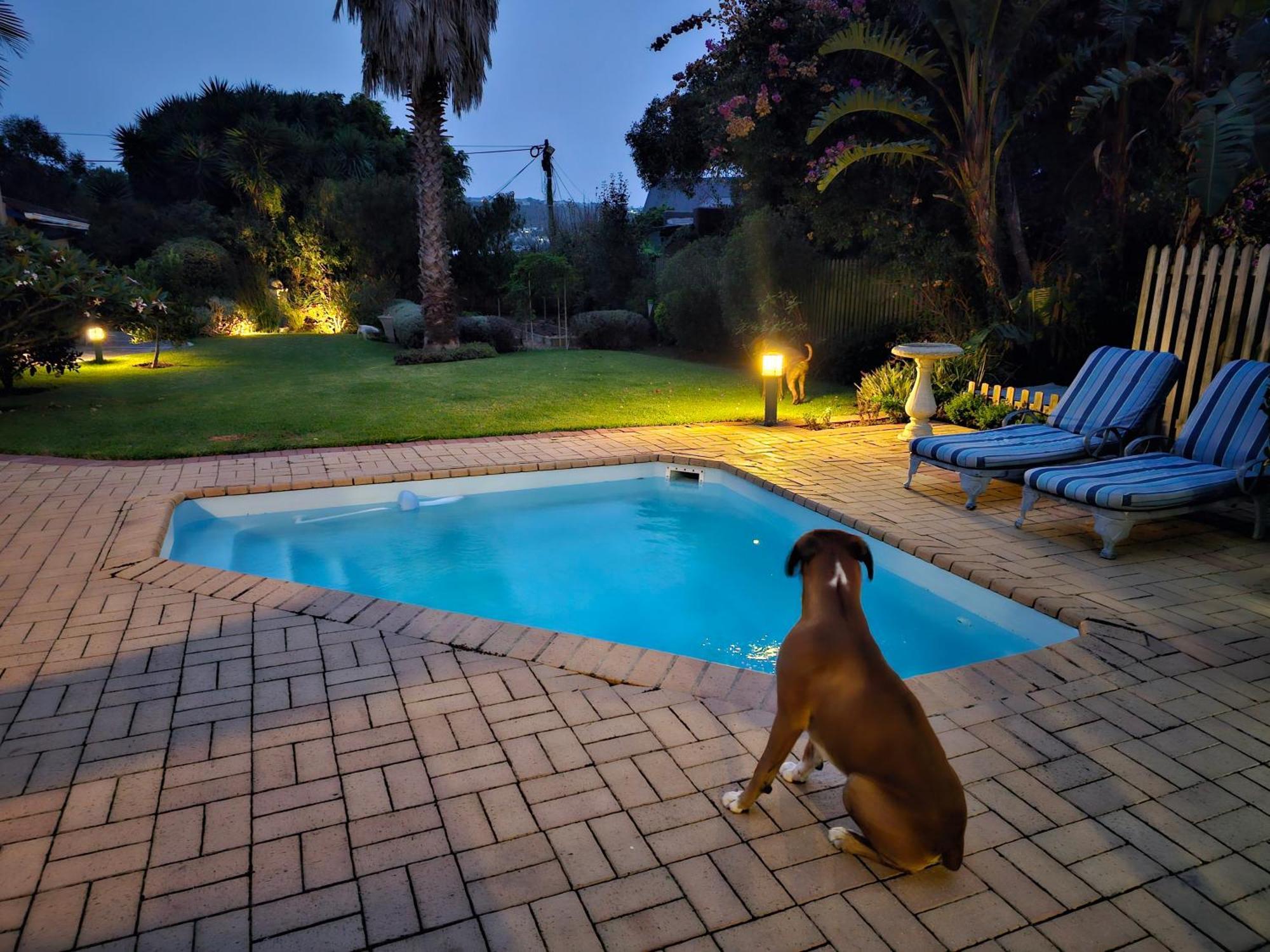 113 On Robberg Hotel Plettenberg Bay Bagian luar foto